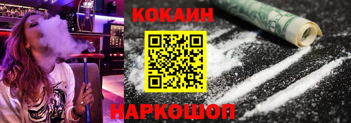 дарнет шоп  Вход с VPN  Мичуринск  COCAIN Fish Scale 