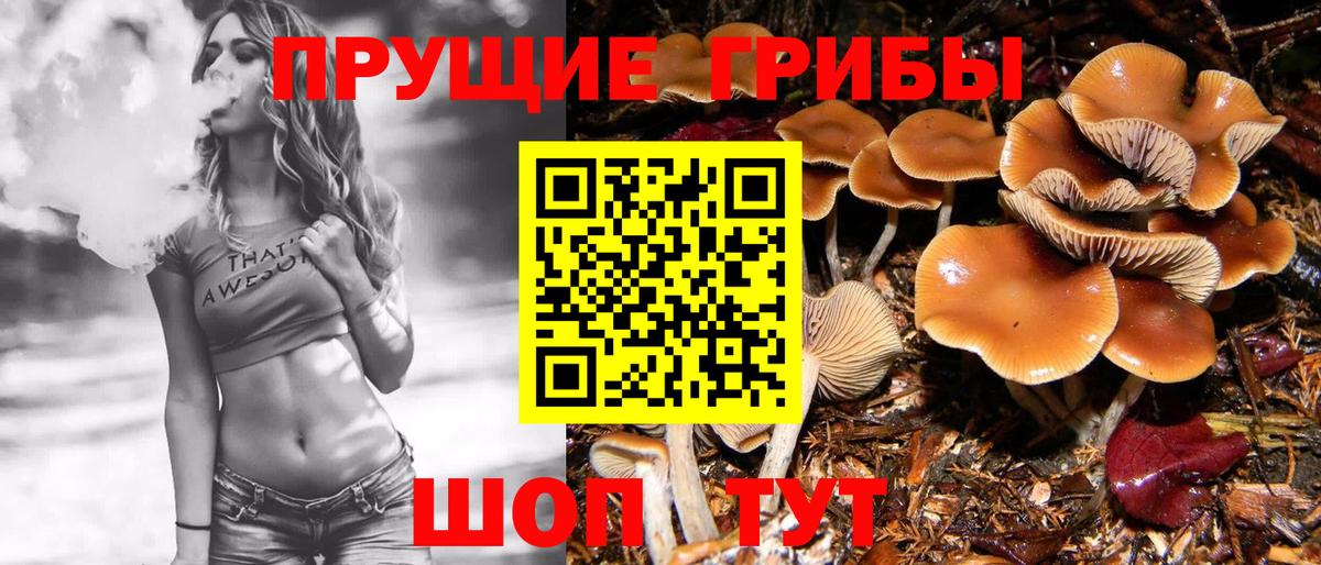 Галлюциногенные грибы ЛСД  Галлюциногенные грибы мицелий  Вход с VPN  Мичуринск 