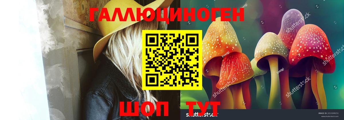 Псилоцибиновые грибы MAGIC MUSHROOMS Мичуринск